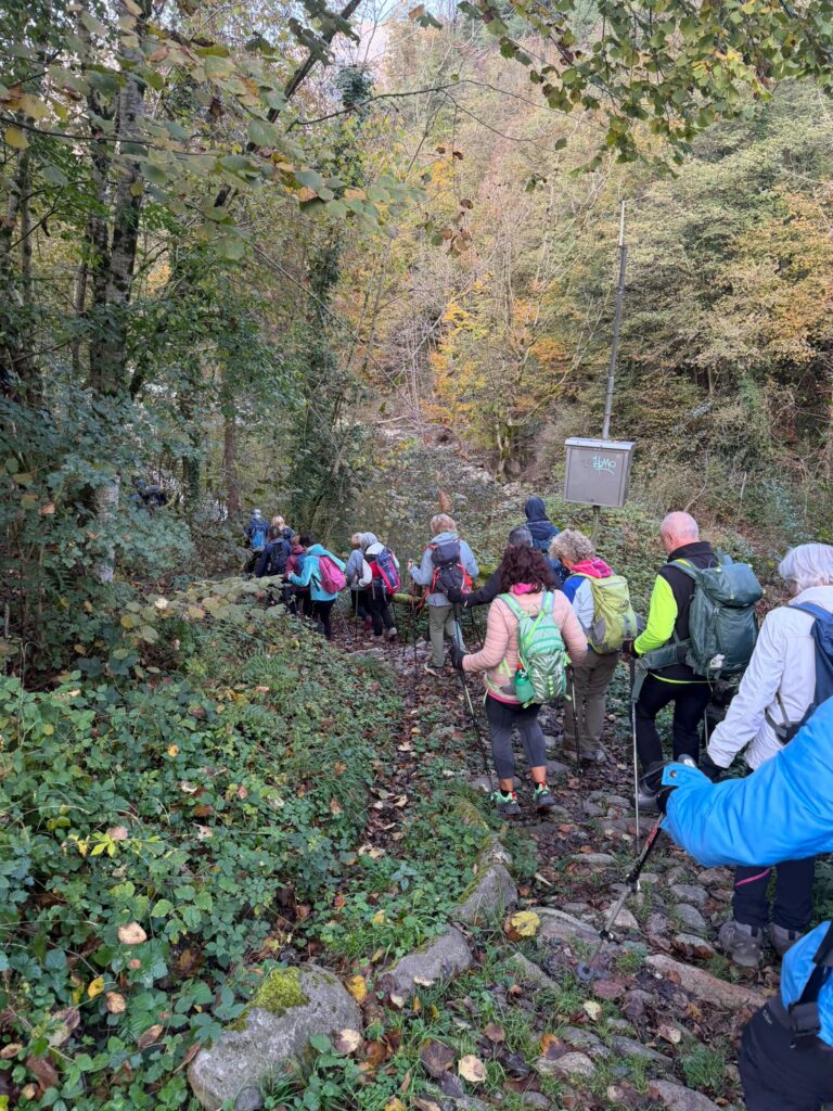 Il gruppo in cammino nel bosco della Val Brembana
